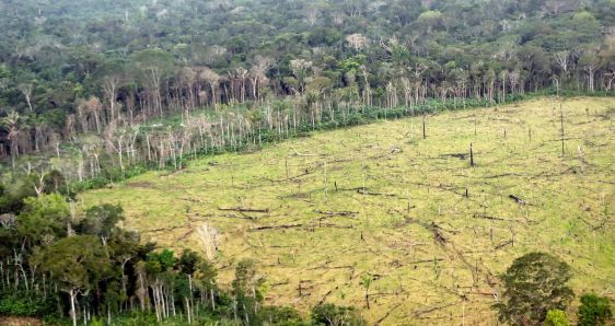 Zona afectada por la deforestación en una región rural de Nueva Colombia. EFE/MAURICIO DUEÑAS CASTAÑEDA