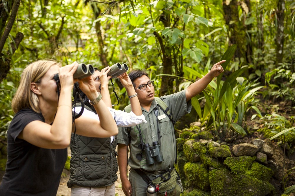 Joseph Quispe, dirigiendo la observación de aves en el bosque nuboso de Machu Picchu, Perú. INKATERRA