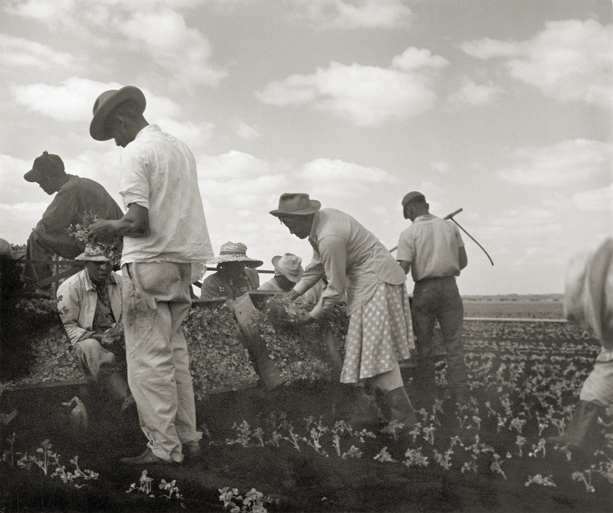 Tennessee, 1950, de Consuelo Kanaga. © BROOKLYN MUSEUM