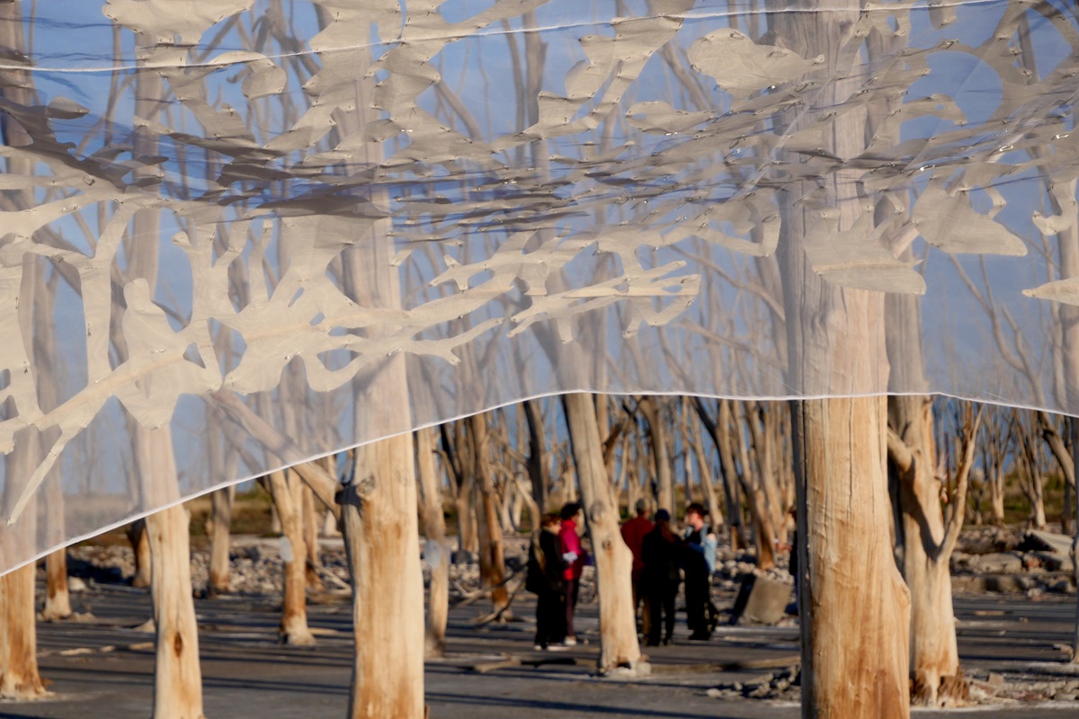 Obra de Valentina Lola Morales Soto en el marco de la Residencia Epecuén. CORTESíA